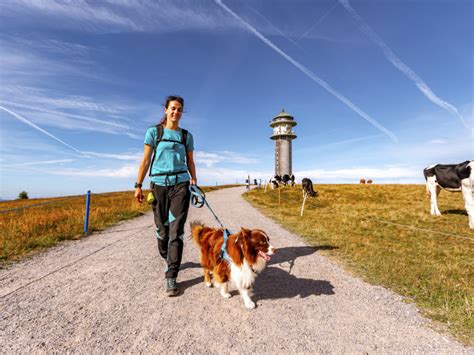 komoot schwarzwald|Schönste Rundwanderwege im Schwarzwald